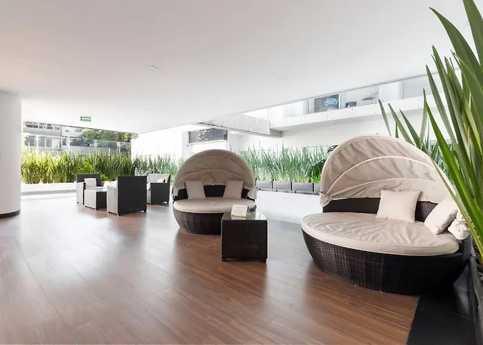 Apartamento Nuevo! Loft Hermoso Con Alberca. Wi-fi Rapido. México DF
